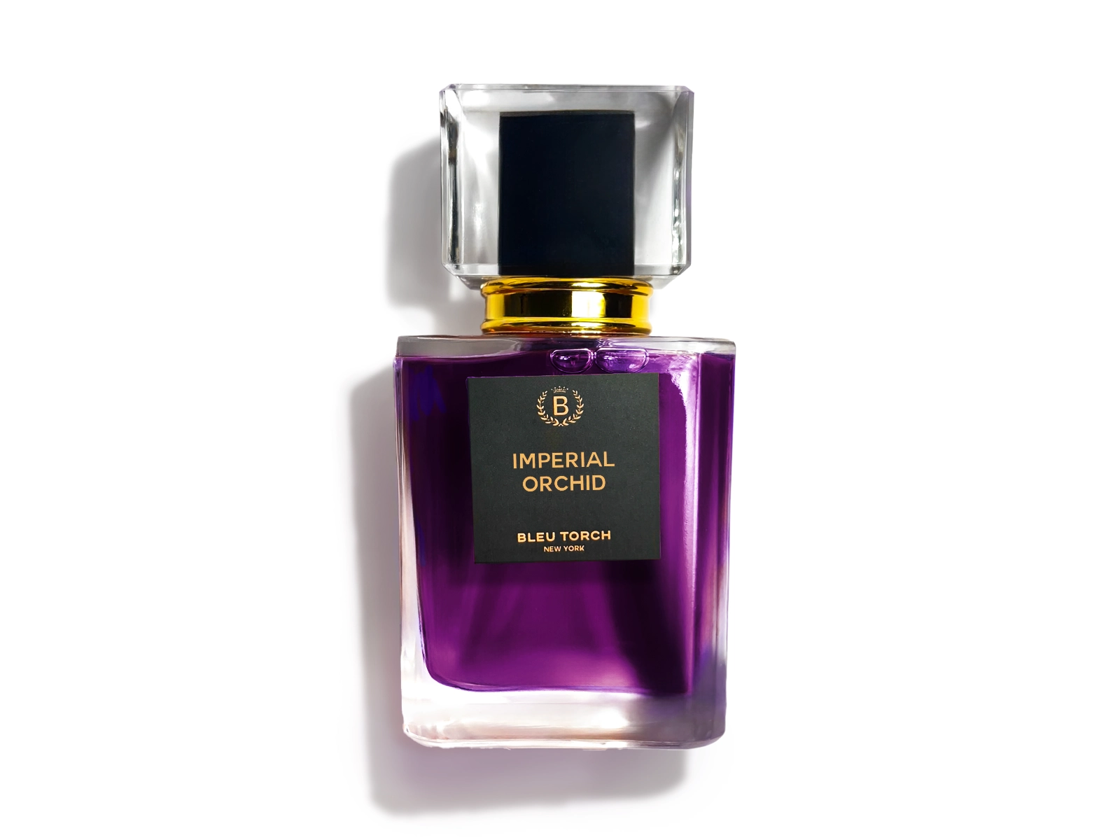 Imperial Orchid